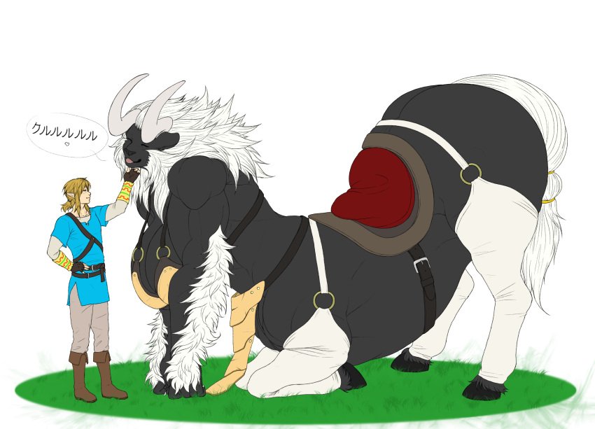 the-legend-of-zelda-rule-xxx-–-scratching,-male,-muscular-female,-happy,-blep