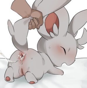 pokemon-hentai-art-–-minccino,-male/female,-grey-fur,-cum-in-ass,-female,-female-penetrated