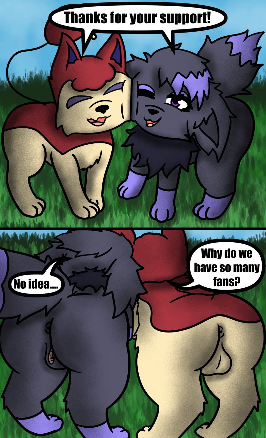 pokemon-game-hentai-–-balls,-skitty,-genitals,-canine,-canid