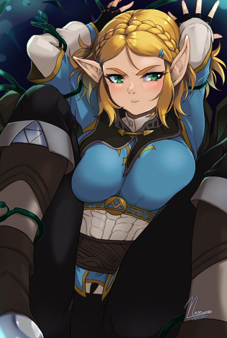 the-legend-of-zelda-game-hentai-–-breath-of-the-wild,-blush