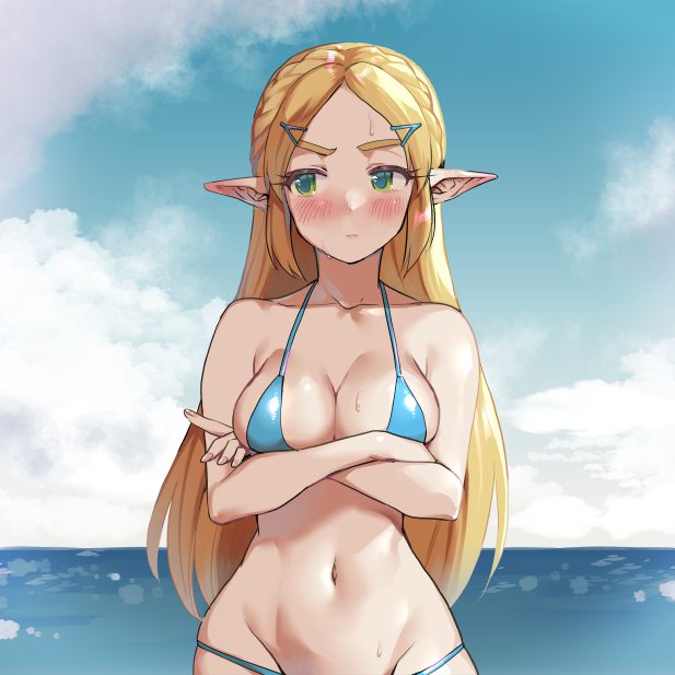 the-legend-of-zelda-hentai-art-–-cleavage,-pointy-ears,-long-hair,-cloud,-crossed-arms