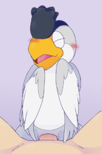 pokemon-hentai-–-female,-feral,-blush,-multicolored-feathers,-countershade-face