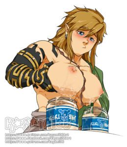 the-legend-of-zelda-hentai-–-kagamiale,-male-only,-male-focus,-link