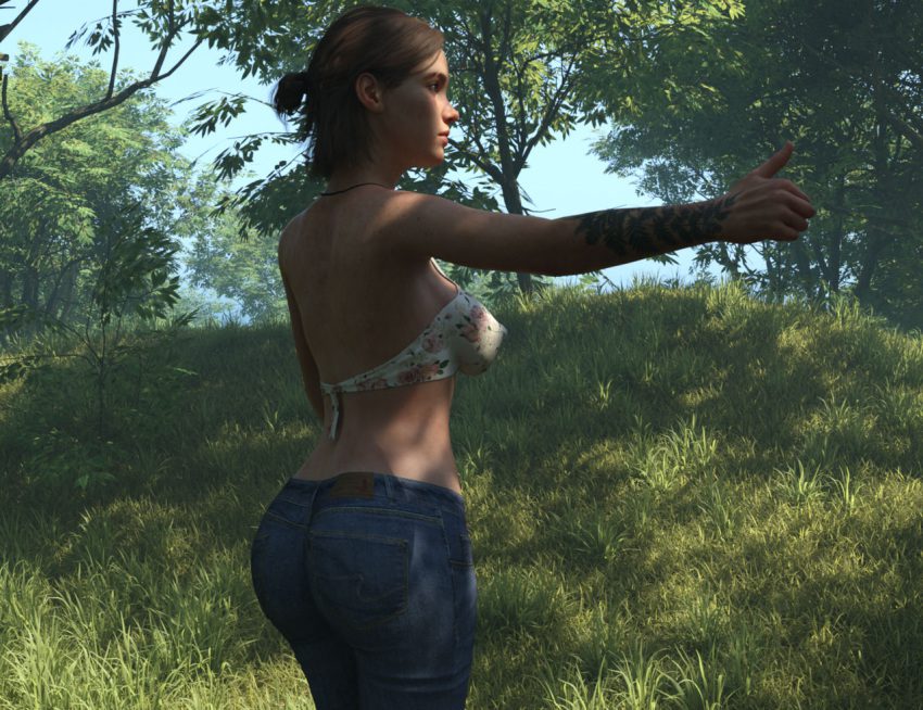 ellie-hentai-xxx-–-pinup,-jeans,-brown-hair,-hitchhiking,-michmanss