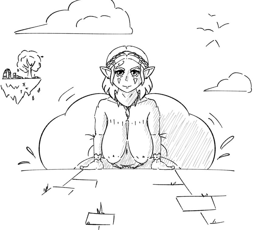 the-legend-of-zelda-hentai-porn-–-zelda-(breath-of-the-wild),-looking-at-viewer,-huge-ass