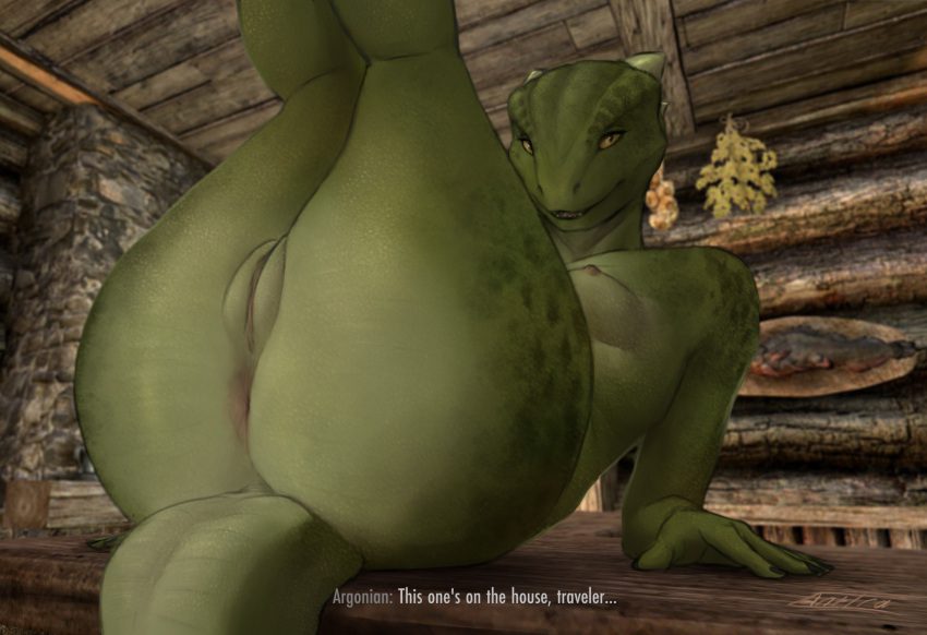 skyrim-rule-–-bethesda-softworks,-argonian,-text,-solo