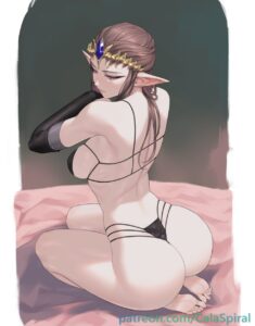 the-legend-of-zelda-hot-hentai-–-calad-g,-twilight-princess,-ass,-long-ears,-princess-zelda