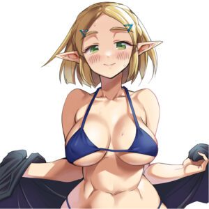 the-legend-of-zelda-game-porn-–-braid,-female-only,-clothing,-nintendo,-cleavage,-toned-female