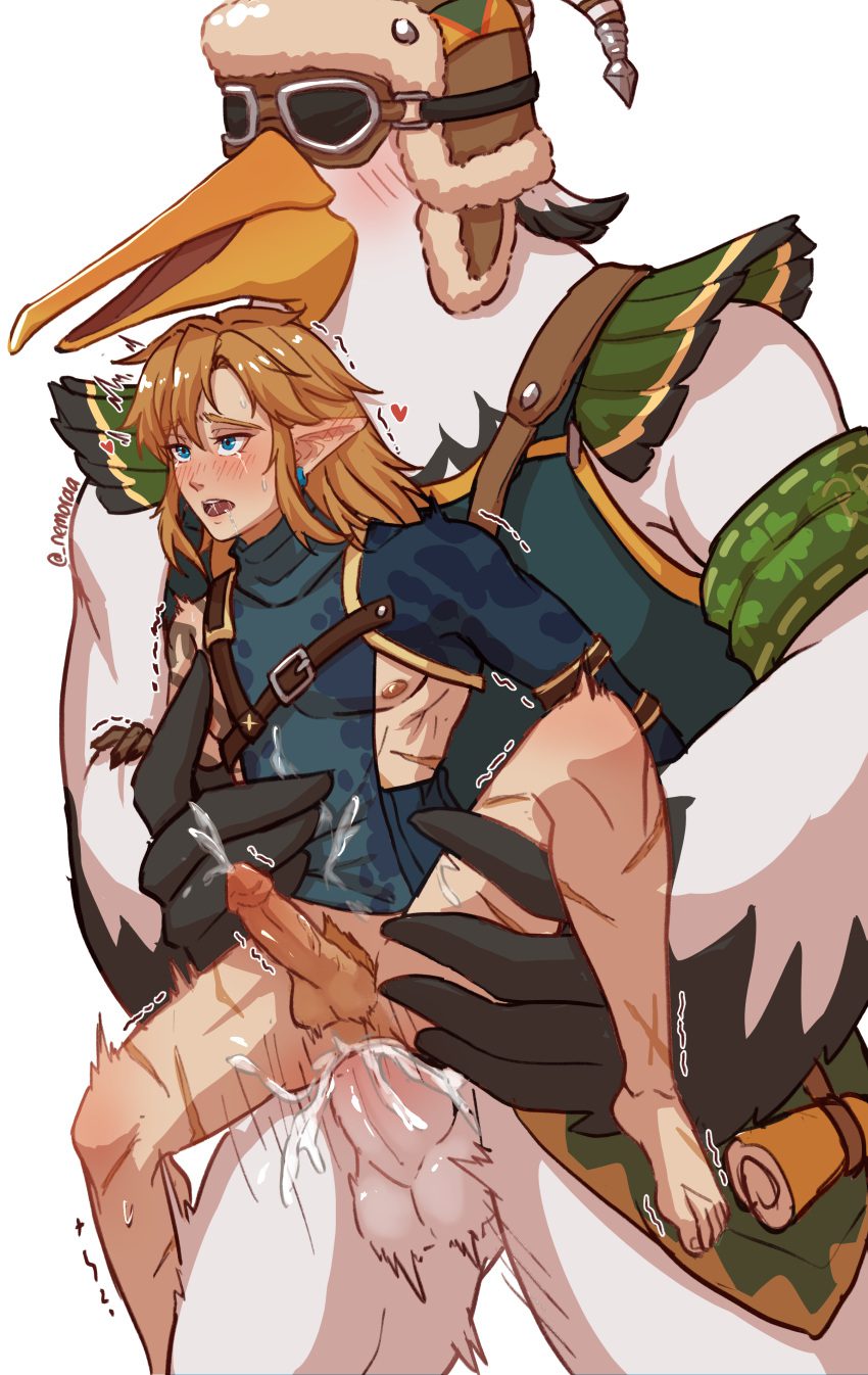 the-legend-of-zelda-free-sex-art-–-nintendo,-rito,-male/male,-erection