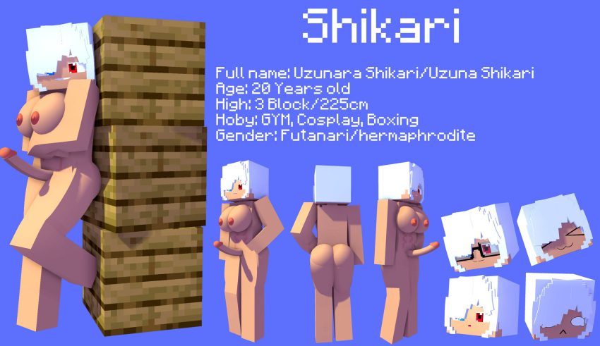 minecraft-porn-hentai-–-nude-futanari,-erect-penis,-solo