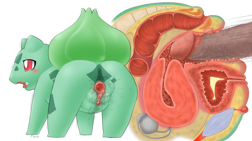 pokemon-hot-hentai-–-bulb,-pokephilia,-white-pupils,-pokemon-rgby,-flucra,-penetration