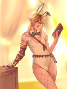 the-legend-of-zelda-rule-–-girly,-bunnysuit,-trap,-bulge-through-clothing,-cute