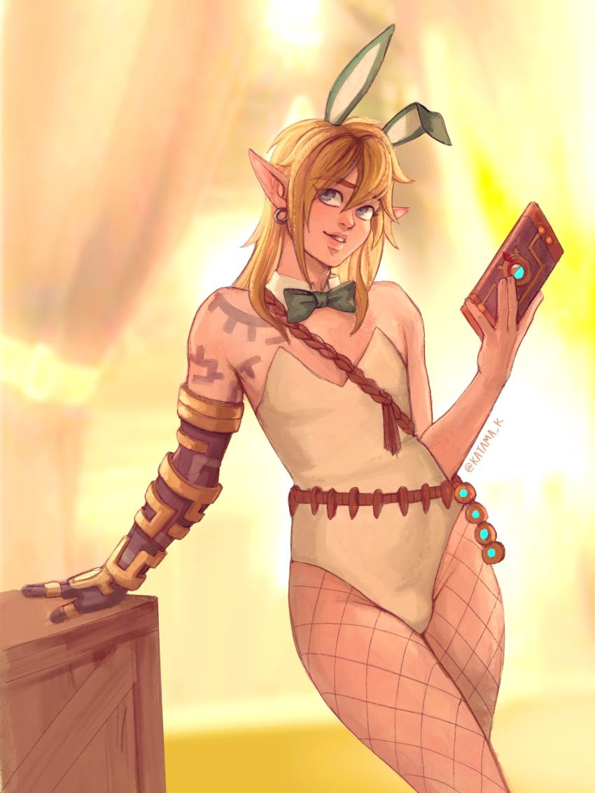 the-legend-of-zelda-rule-–-girly,-bunnysuit,-trap,-bulge-through-clothing,-cute