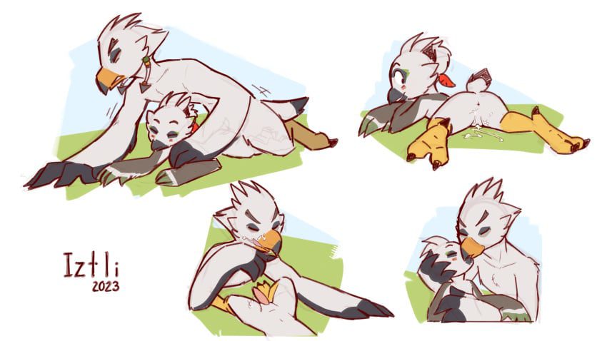 the-legend-of-zelda-porn-–-iztli