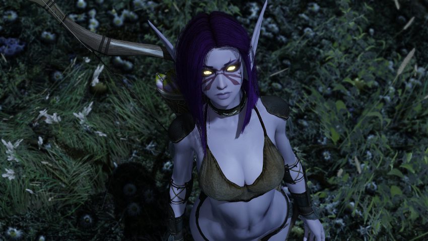 skyrim-hot-hentai-–-girl,-leather-clothing,-pale-skin,-night-elf,-woman
