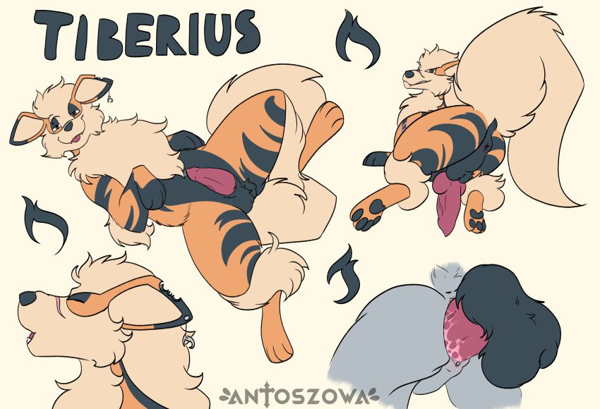 pokemon-porn-hentai-–-on-ground,-canine-penis,-hi-res,-feral