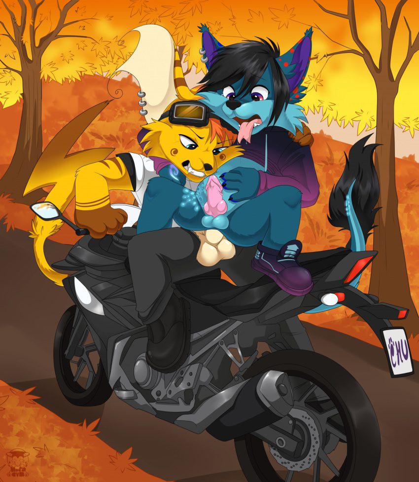 pokemon-hentai-–-canine-genitalia,-blue-body,-blue-fur,-ratchet-and-clank,-motorcycle,-male,-sony-interactive-entertainment