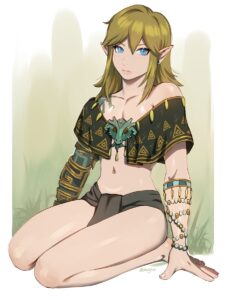 the-legend-of-zelda-rule-xxx-–-femboy,-tears-of-the-kingdom,-link