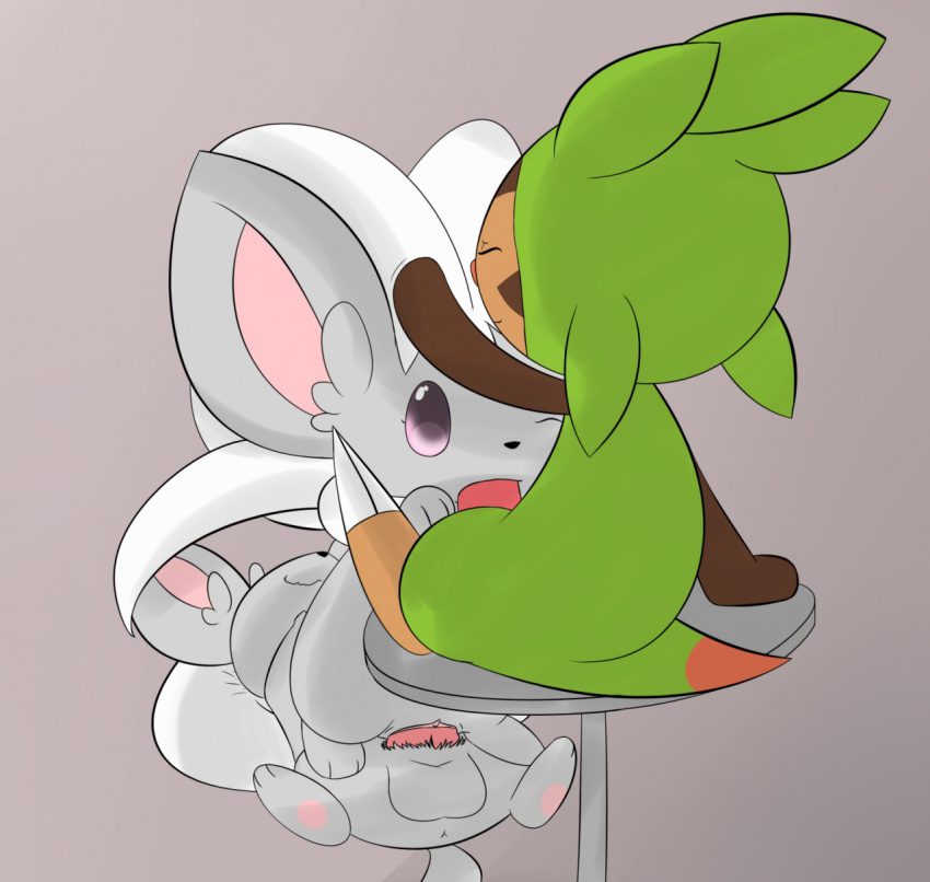 pokemon-hentai-porn-–-minccino,-furry,-chespin