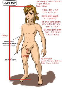 the-legend-of-zelda-hentai-art-–-naked,-uncut,-flaccid-penis,-light-skinned-male