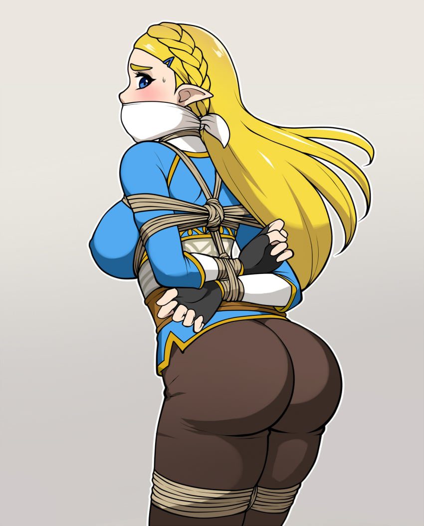 the-legend-of-zelda-hentai-xxx-–-rope-bondage,-princess-zelda,-clothed,-jam-orbital,-looking-at-viewer