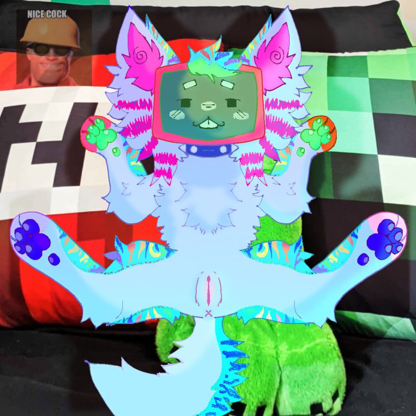 creeper-hentai-art-–-multicolored-tail,-striped-tail,-felis,-object-head,-lying,-choker,-felid