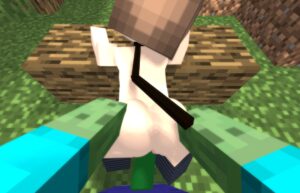 minecraft-porn-hentai-–-from-behind,-ls,-,-grabbing,-blush