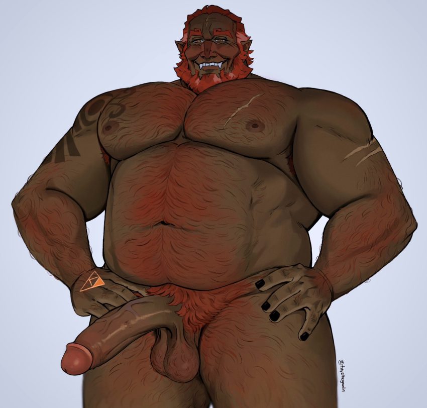 the-legend-of-zelda-game-porn-–-penis,-tayzthegremlin,-beard,-male-only