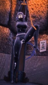 final-fantasy-hentai-art-–-xaela,-dildo,-gimp-mask,-latex,-au-ra,-suspension,-dildo-in-pussy