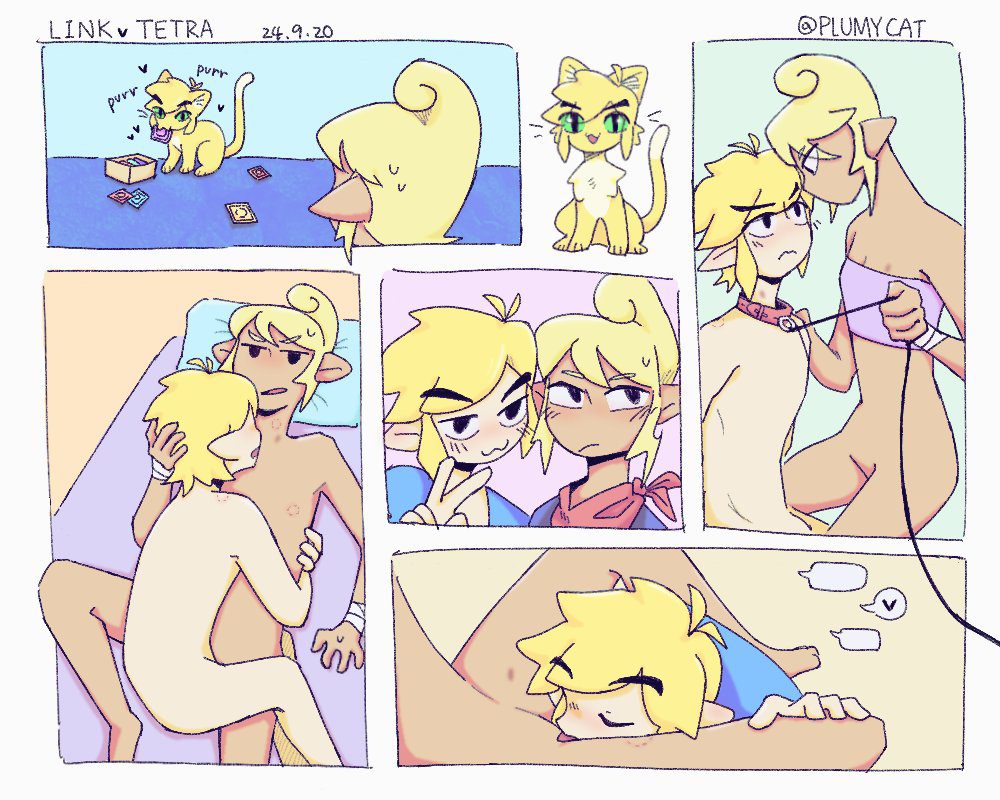 the-legend-of-zelda-game-porn-–-tetra,-condom-wrapper,-cat-tail,-the-legend-of-zelda:-the-wind-waker