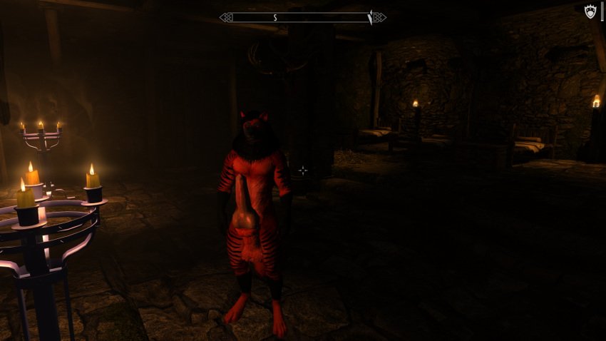 skyrim-porn-–-video-games,-mammal,-artwork),-canid,-anthro,-male