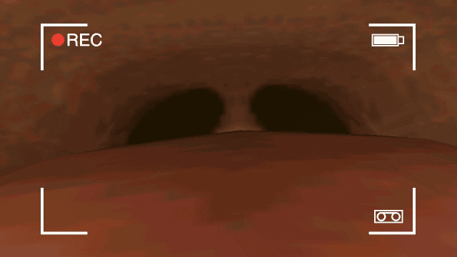 The Legend Of Zelda Game Hentai - midna, vore file 201acb6933680e69405fcc5aa7db145de5d66808