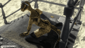 Skyrim Xxx Art - lifts-her-tail, nude female, argonian, maid, trash can, scalie file f2a694bcc56bf1a41093d9d67d4011ca