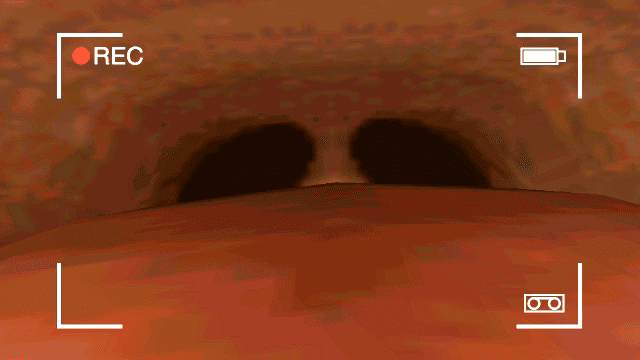 The Legend Of Zelda Rule Porn - solo, tongue, nintendo, vore, twilight princess file f8876fb3ff46b402f46715f557aa014b2269bd82